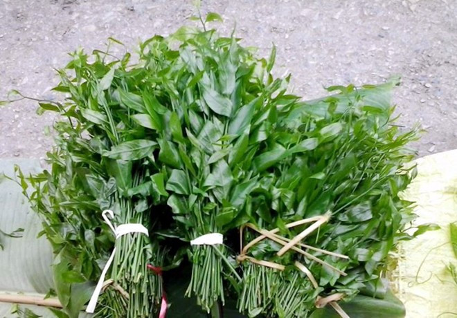 Rau ngót rừng được nhiều người đặt mua mặc dù giá rất đắt