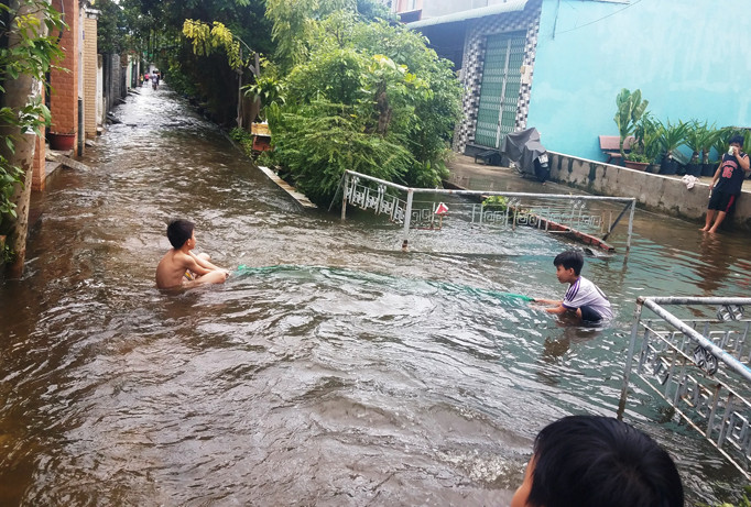 Trẻ em giăng lưới bắt cá giữa đường ở Sài Gòn