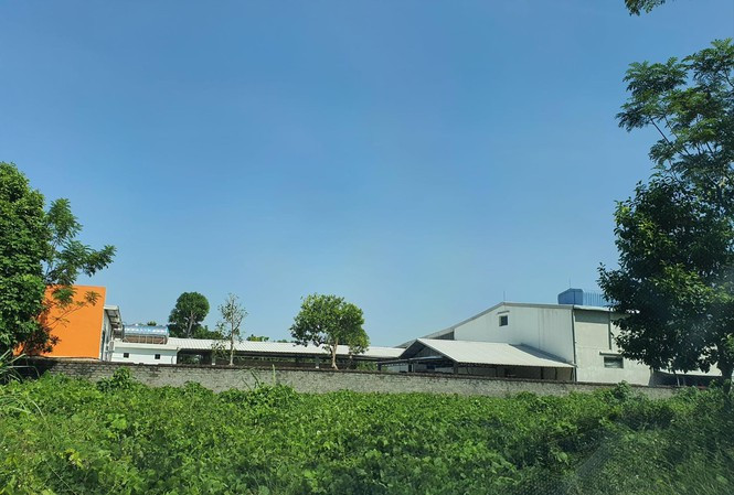 Nhà xưởng mọc tràn lan trên những mảnh đất lâm trường do hợp tác xã giao khoán.