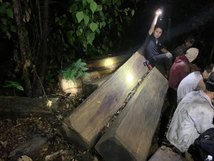 Hiện trường vụ hủy hoại rừng