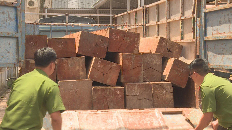 Công an kiểm tra xe chở gỗ không hóa đơn chứng từ