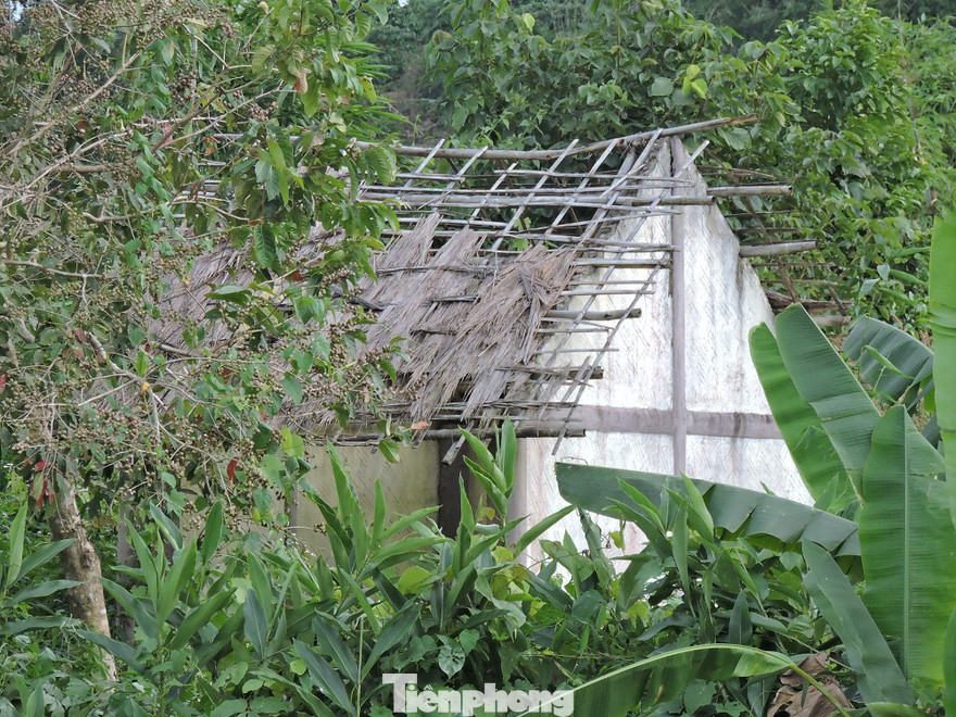 Nhà phục dựng bếp Hoàng Cầm đã hỏng 