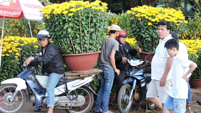 “Người vận chuyển” miệt lài lao động giữa dòng đời hối hả