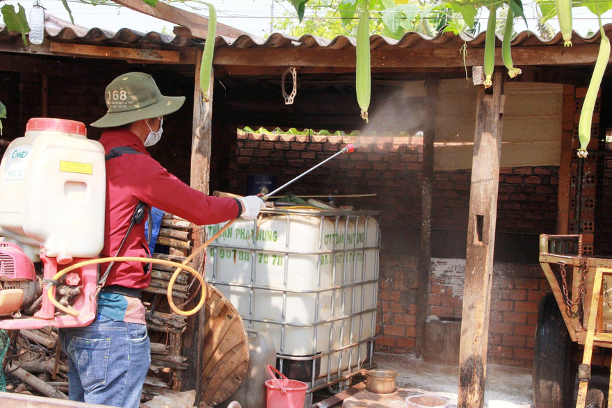 Cán bộ địa phương đi chống dịch trên đàn lợn 