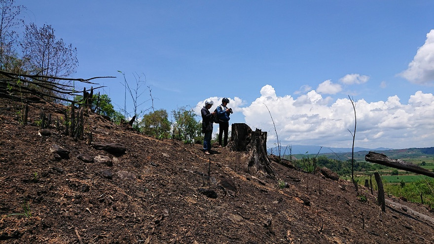 Phát hiện vụ tàn phá nghiêm trọng rừng đặc dụng gần trạm kiểm lâm