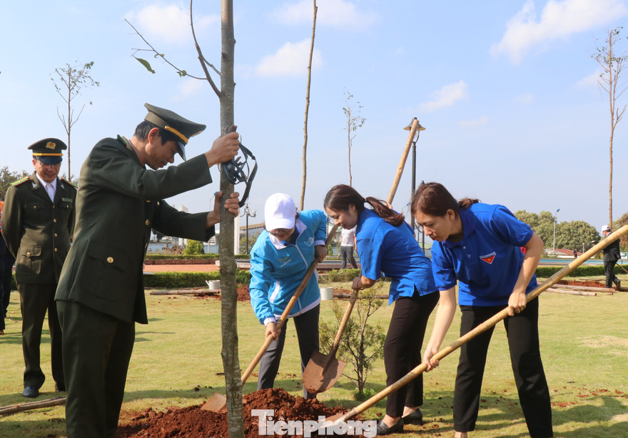 Tuổi trẻ TP Buôn Ma Thuột trồng cây xanh Xuân Canh Tý 2020