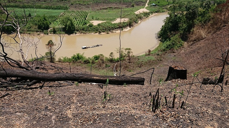 Rừng đặc dụng thiên nhiên Nam Kar bị huỷ hoại nghiêm trọng.