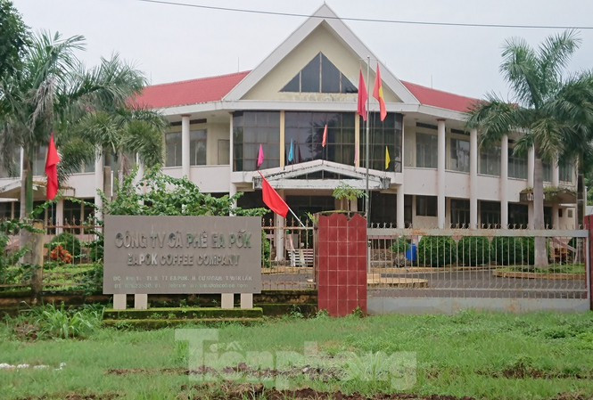 Cty Ea Pốk muốn "nhổ cà phê" làm dự án nhà ở thương mại 