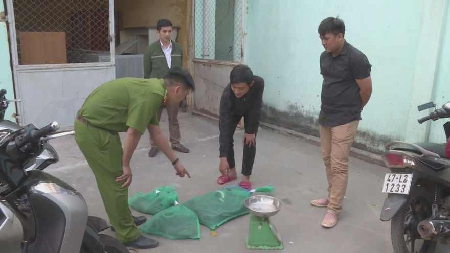 Số động vật rừng vừa bị bắt giữ vào ngày 15/1
