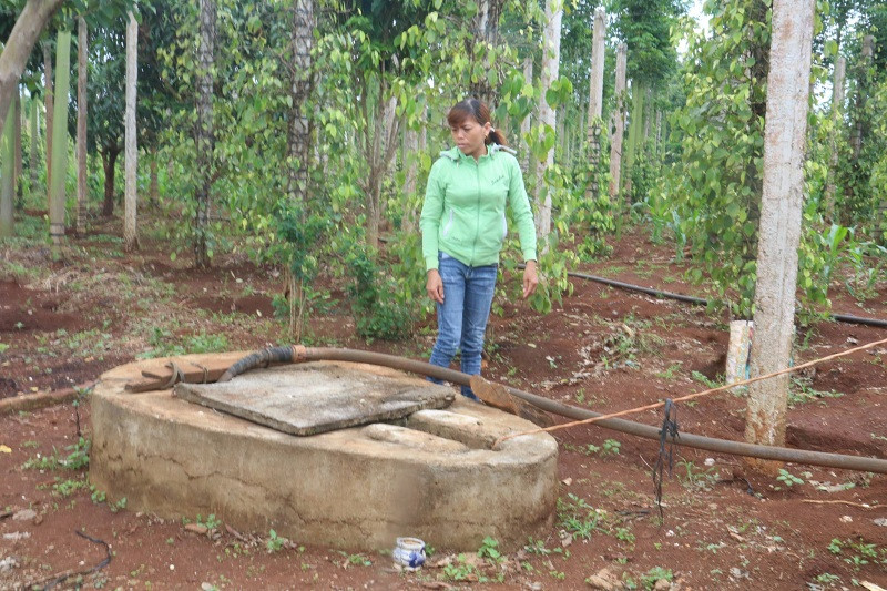 Nghi vấn giếng nước bị đổ thuốc trừ sâu khiến 1 người nhập viện