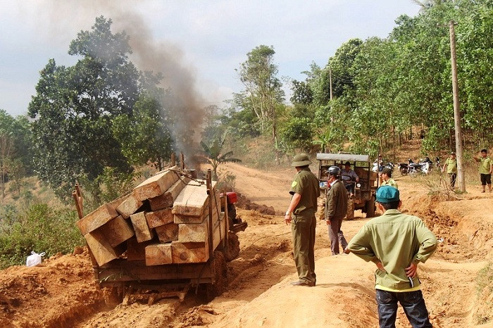 Hiện trường vụ vận chuyển gỗ trái phép