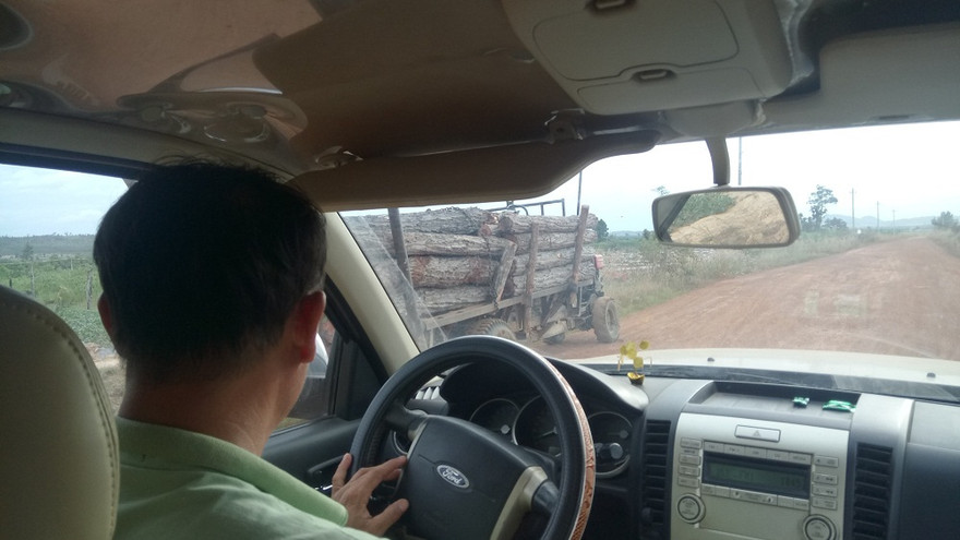 Gỗ lậu vận chuyển công khai ở huyện Ea Súp 