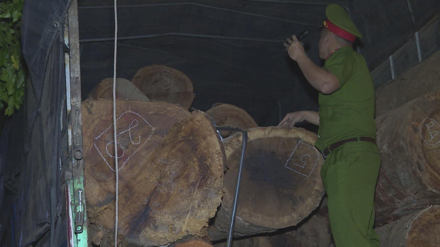 Số gỗ tròn bị phát hiện