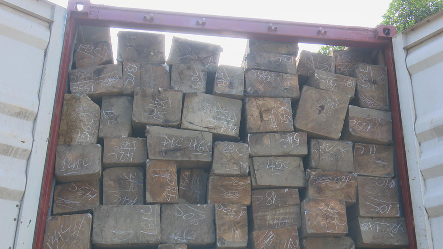 Số gỗ lậu bị bắt giữ trên Quốc lộ 29