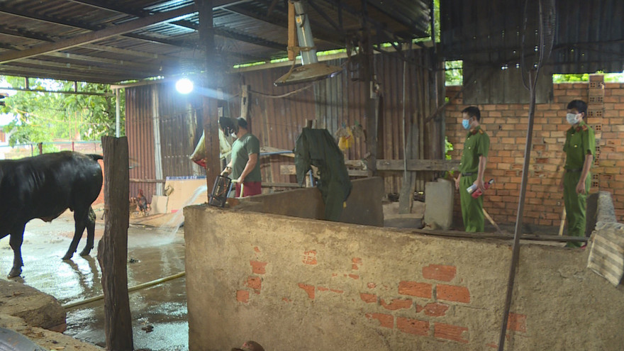 Công an phát hiện chủ lò mổ bơm nước để tăng trọng lượng cho bò trước khi giết mổ