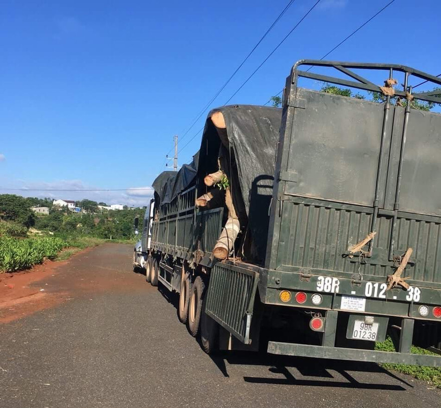 Chiếc xe đầu kéo chở cây đa khủng bị bắt giữ