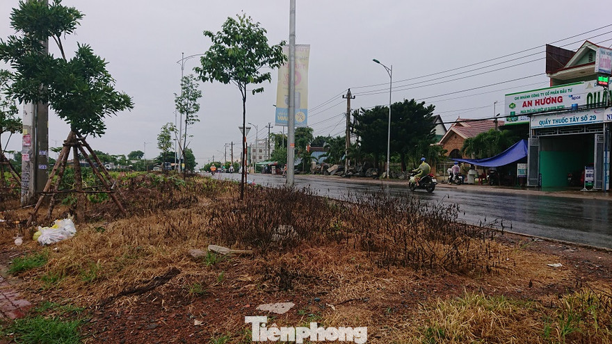 Phun hóa chất sát nhà dân