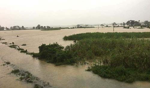 Khu vực hai phân trại của Trại giam số 5 Yên Định đang ngập rất nặng. Ảnh: C.B.