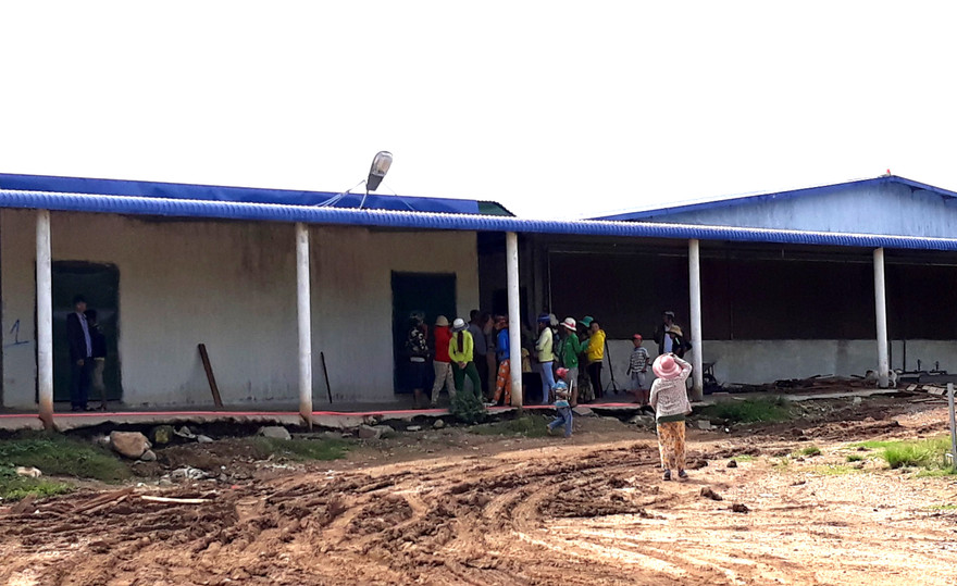 Ninh Thuận ngưng hoạt động trại heo gây ô nhiễm