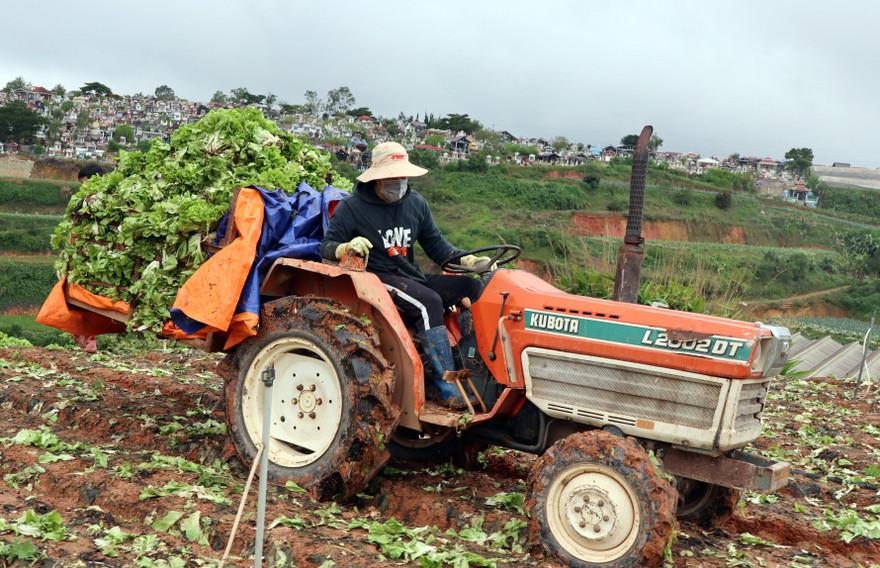  Dùng xe máy cày chở rau đi đổ