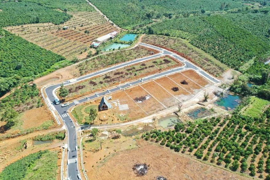 Đồi chè bị băm nát, phân lô 