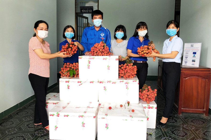 Tuổi trẻ Lâm Đồng hỗ trợ tiêu thụ vải thiều cho nông dân Bắc Giang