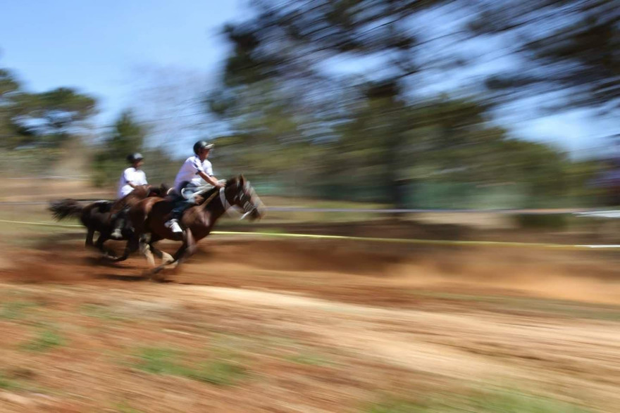 Xé gió về đích trong cuộc đua ngựa không yên. Ảnh: Võ Trang