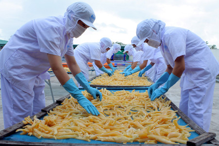 Giá trị nhập khẩu thủy hải sản của Việt Nam lên 720 triệu USD, tăng 73% so với cùng kỳ. Ảnh: TTX.