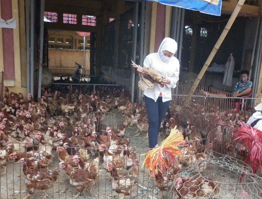 Bộ trưởng NN&PTNT yêu cầu siết các hàng rào bảo vệ, nhằm ngăn chặn các chủng virus cúm gia cầm độc lực cao từ Trung Quốc