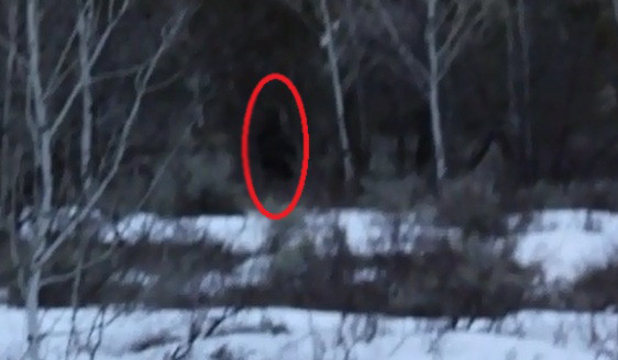 Người leo núi phát hiện 'dã nhân chân to' ở Mỹ?