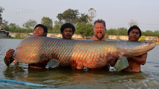 4 người đàn ông chụp ảnh ghi lại kỷ lục của họ. 