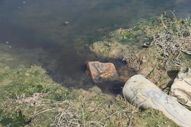 Mới nhất vụ Bệnh viện Lao - Phổi Nghệ An xả thải ra ruộng lúa