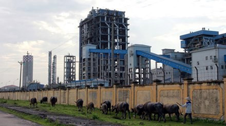 hà máy Đạm Ninh Bình phải đắp chiếu vì càng sản xuất càng lỗ từ tháng 3/2016 đến nay. Ảnh: Minh Đức.