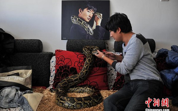 Bạch Thác sống chung nhà với trăn, rắn.