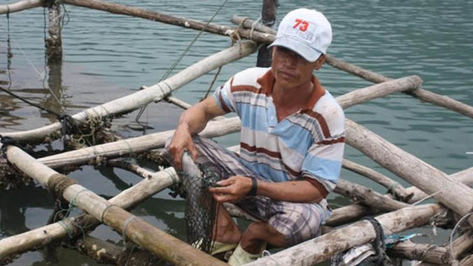 Ngư dân Hải Dương thất thần, buồn bã bên lồng cá bị chết hàng loạt.
