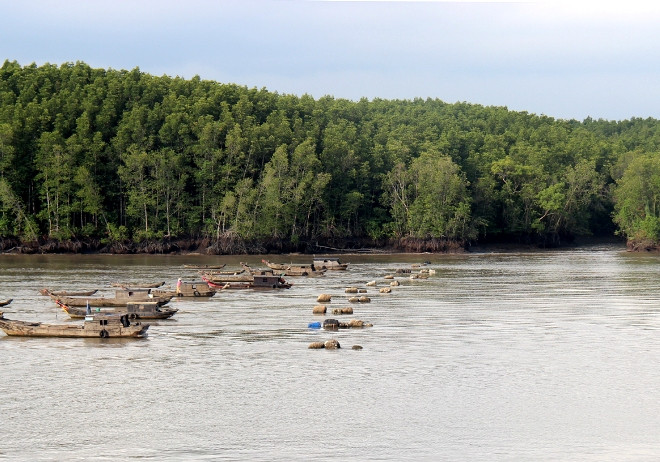 Mênh mang sông Lòng Tàu