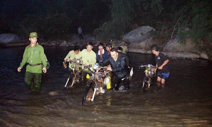 Kiểm lâm thu giữ nhiều xe máy chở gỗ của Lâm tặc ở rừng sâu Di Linh