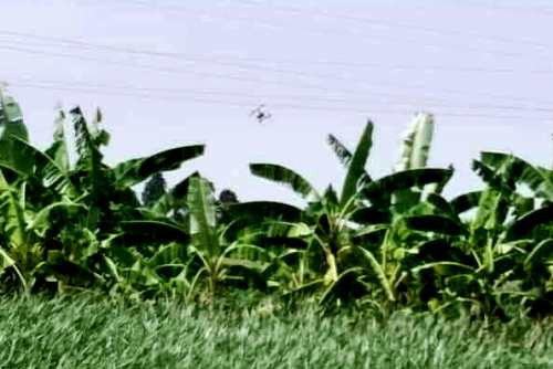 Chiếc flycam bị vướng vào dây điện