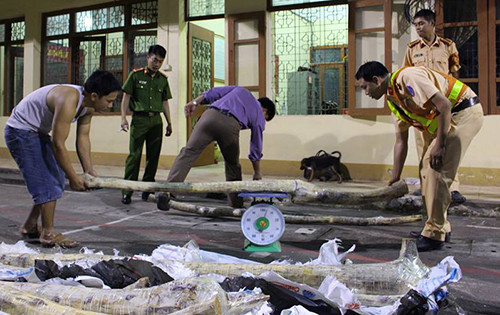 45 khúc gỗ sưa với trọng lượng gần 6 tạ bị công an thu giữ. Ảnh: Sơn Dương.
