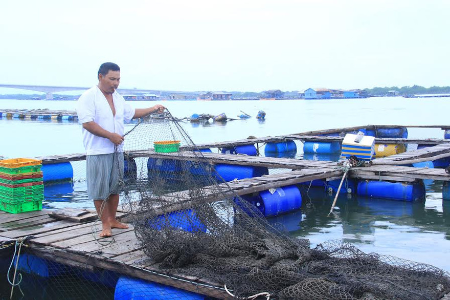 Lồng bè của một số ngư dân trống trơn sau vụ cá chết hàng loạt vừa qua.