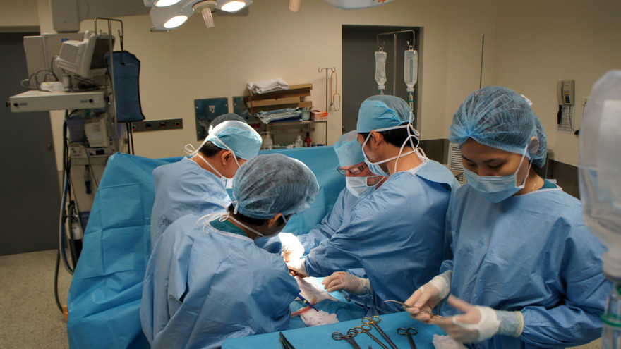 Đối với bác sĩ cũng gắn với câu "Sinh nghề, tử nghiệp"