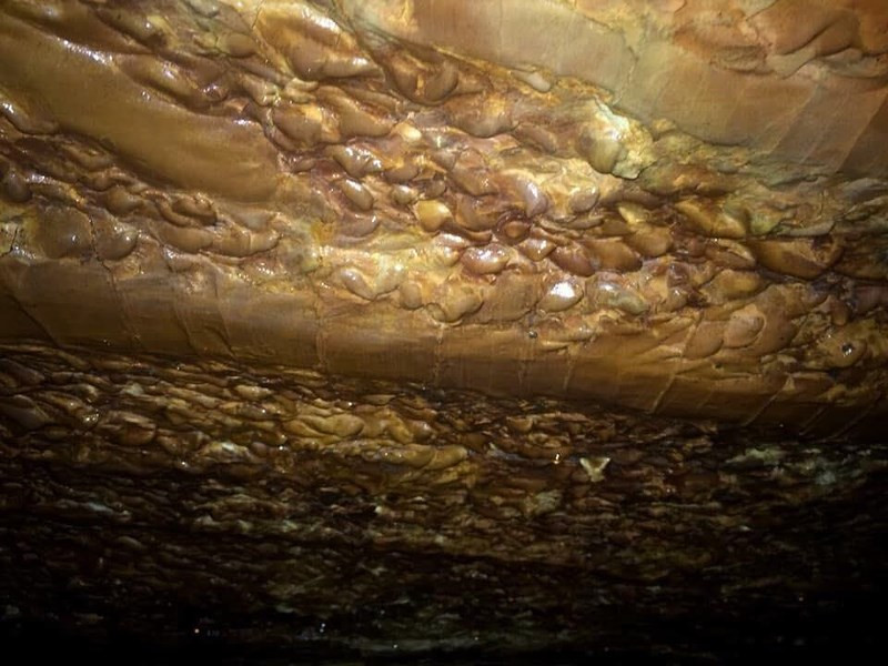 Phát hiện hang động kỳ lạ giữa rừng Quảng Ninh