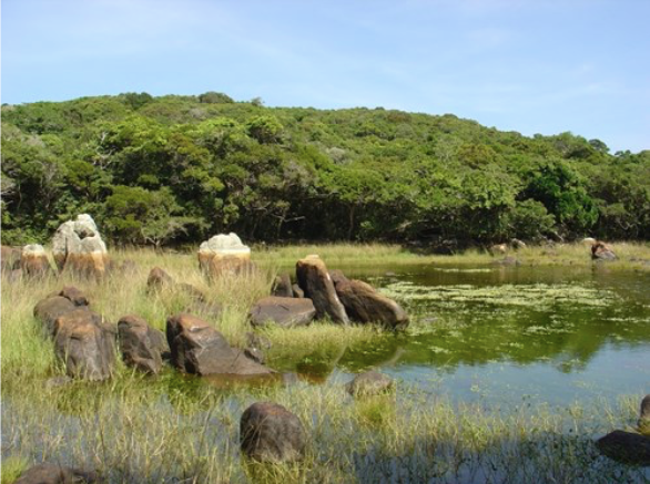 Trong vườn quốc gia Núi Chúa ở tỉnh Ninh Thuận