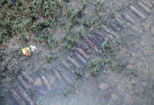 Số lượng đạn pháo lộ ra dưới sông. Ảnh: Hoài Thanh.