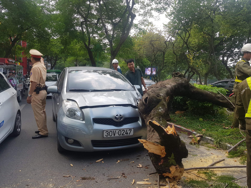 Hiện trường vụ việc.
