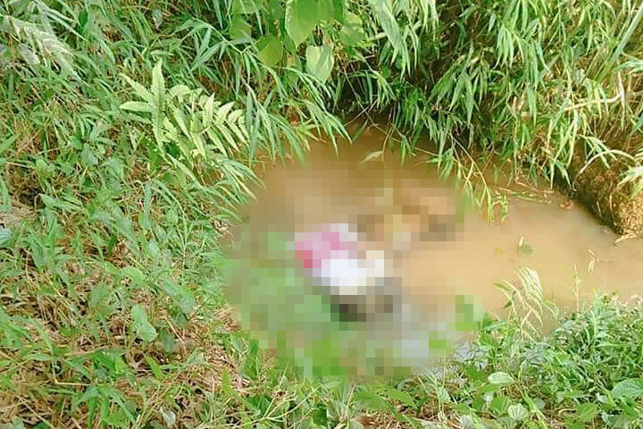 Hiện trường vụ việc.