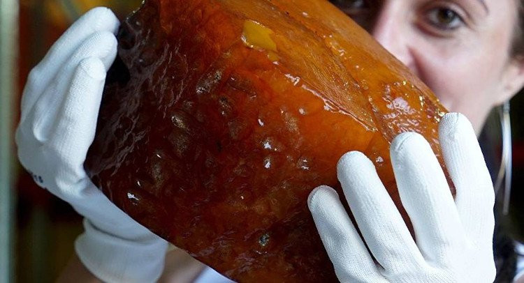 Khối hổ phách nặng 2,36kg mới được tìm thấy.