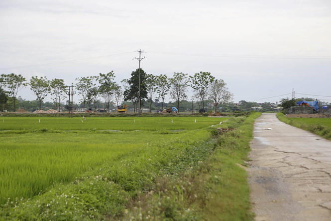 Đã làm rõ quá trình quản lý, sử dụng đất đai ở Đồng Tâm, Mỹ Đức.