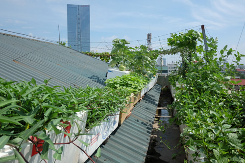 Gia đình chị Nguyễn Thị Thu sống ở tầng 6, tầng trên cùng của một khu chung cư ở quận Ba Đình (Hà Nội). Trước đây, vào những ngày hè, nhà chị thường rất nóng