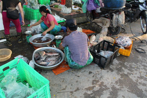 Cảnh sơ chế không đảm bảo an toàn vệ sinh thực phẩm của Cty My Way